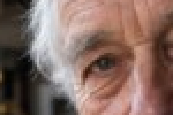 The watchmaker's eye: Original pixels